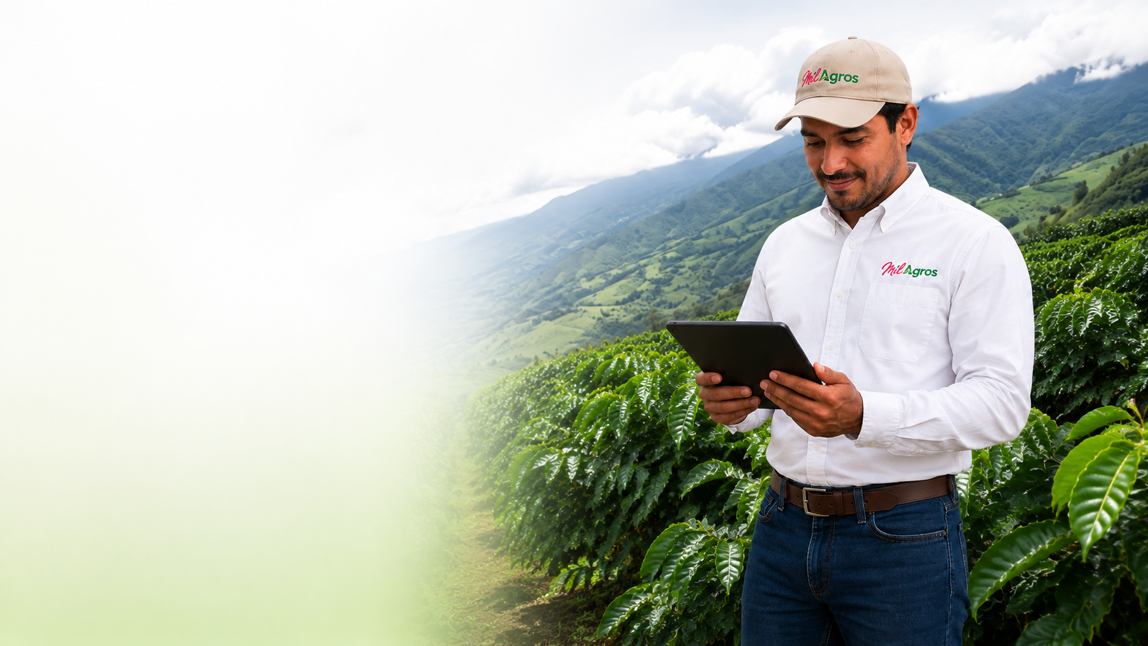 Asesor de Mil Agros revisando información técnica en una tableta dentro de un cultivo